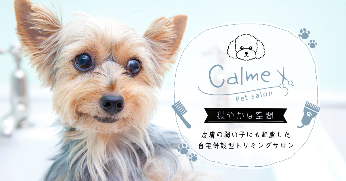 Calme 当サロンのトリミングとペットホテルのサービスについて